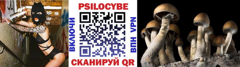 Псилоцибиновые грибы Psilocybe что такое наркотик Абакан