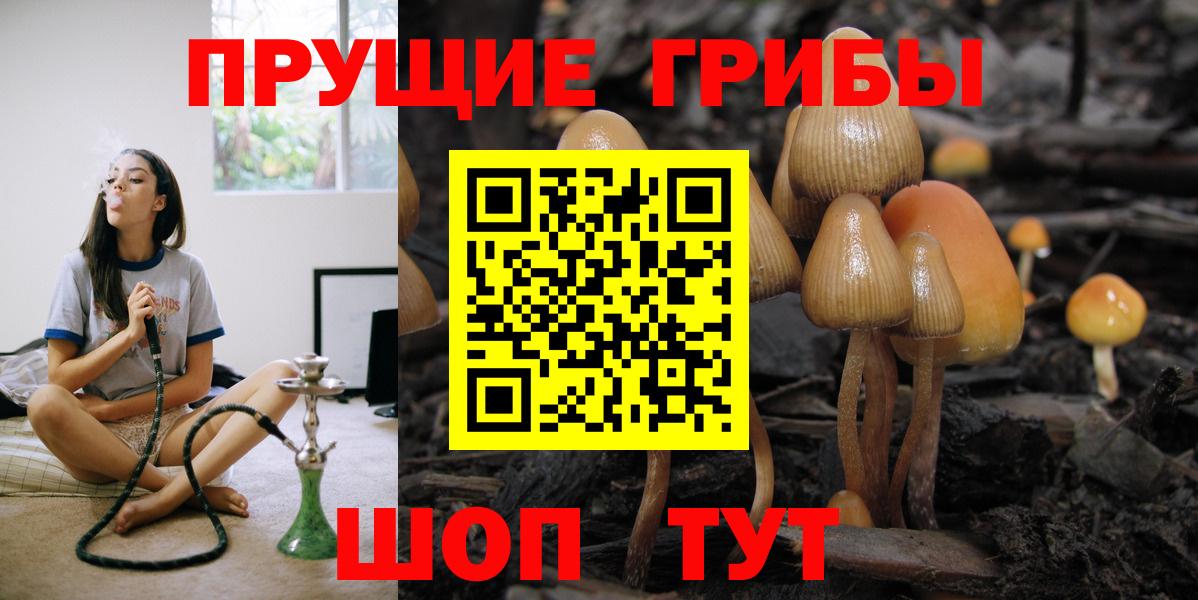 Псилоцибиновые грибы мухоморы Абакан