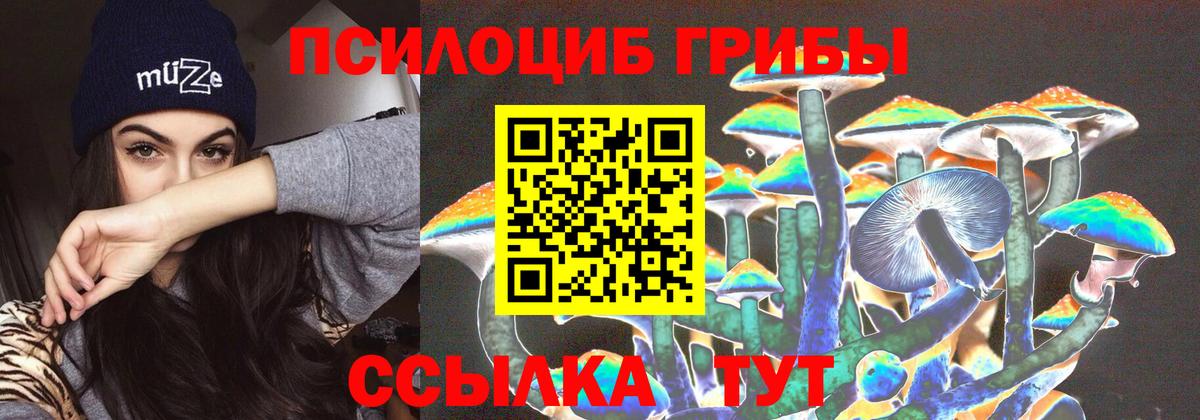 Галлюциногенные грибы Psilocybine cubensis  Вход с VPN  Абакан 